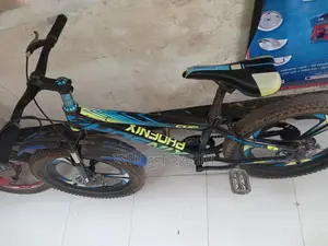 ফিনিক্স সাইকেল বিক্রয় হবে