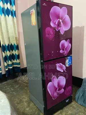 Walton Freezer