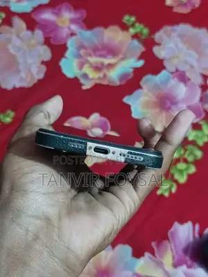 Apple iPhone 15 Pro Max (Used)
