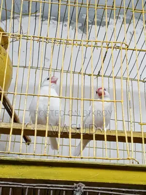 Java Pair