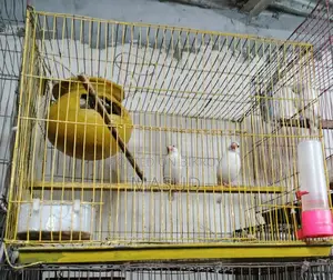 Java Pair
