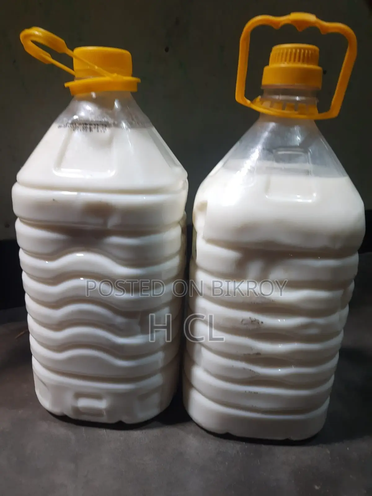 Premium Pure Cow Milk in Pirojpur City