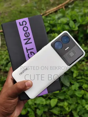 Realme GT Neo 5 (12/256 gb) (Used)