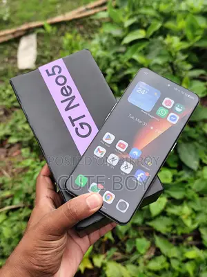 Realme GT Neo 5 (12/256 GB) (Used)