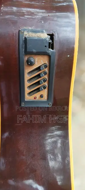 Acoustic Guitar