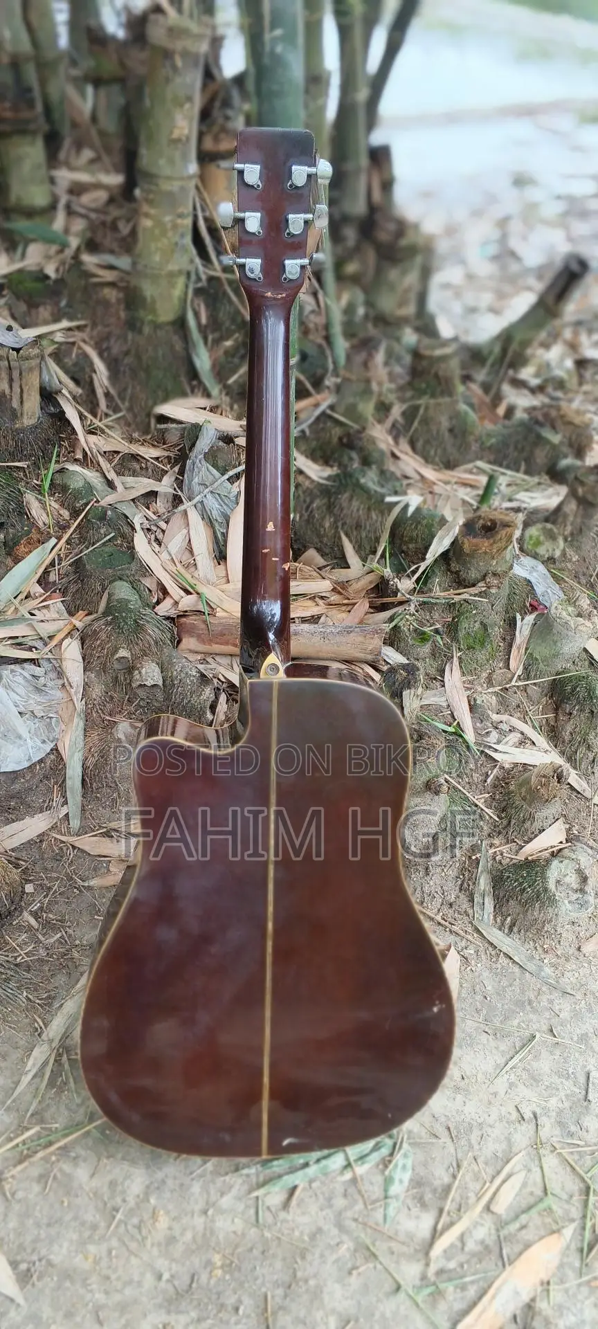 Acoustic Guitar