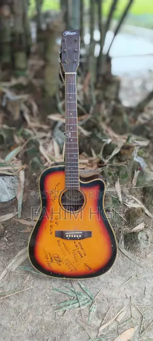 Acoustic Guitar