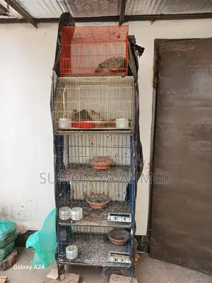 কবুতর এর খাঁচা।