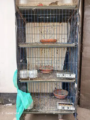 কবুতর এর খাঁচা।
