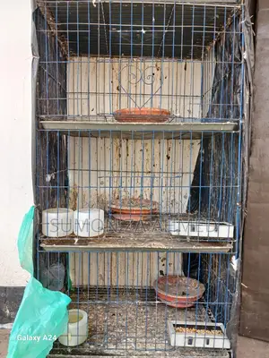 কবুতর এর খাঁচা।