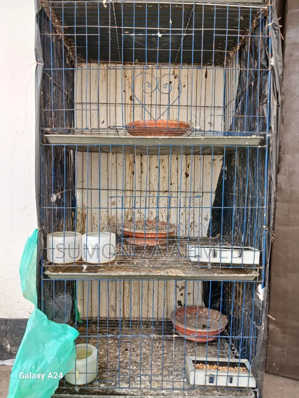 কবুতর এর খাঁচা।