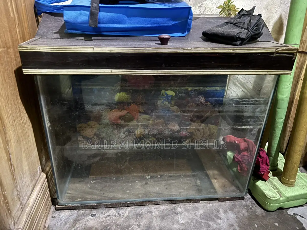 Aquarium All Setup