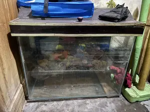 Aquarium All Setup