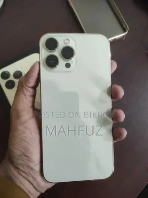 Apple iPhone 13 Pro Max 256 GB (Used)