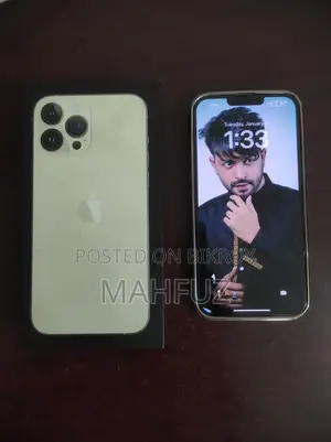 Apple iPhone 13 Pro Max 256 GB (Used)