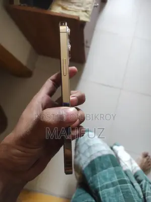 Apple iPhone 13 Pro Max 256 GB (Used)