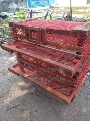 Quail Bird Cage for Sale