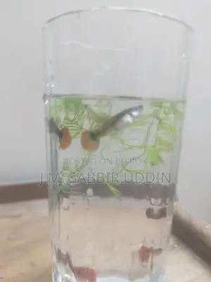 Full Red Rose Guppy
