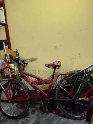 24-inch Bicycle
