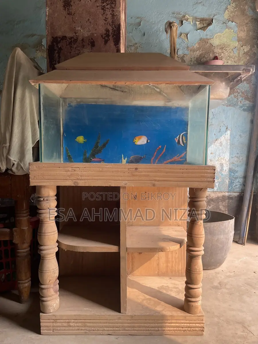 অল্প দিন ব্যবহৃত একুরিয়াম