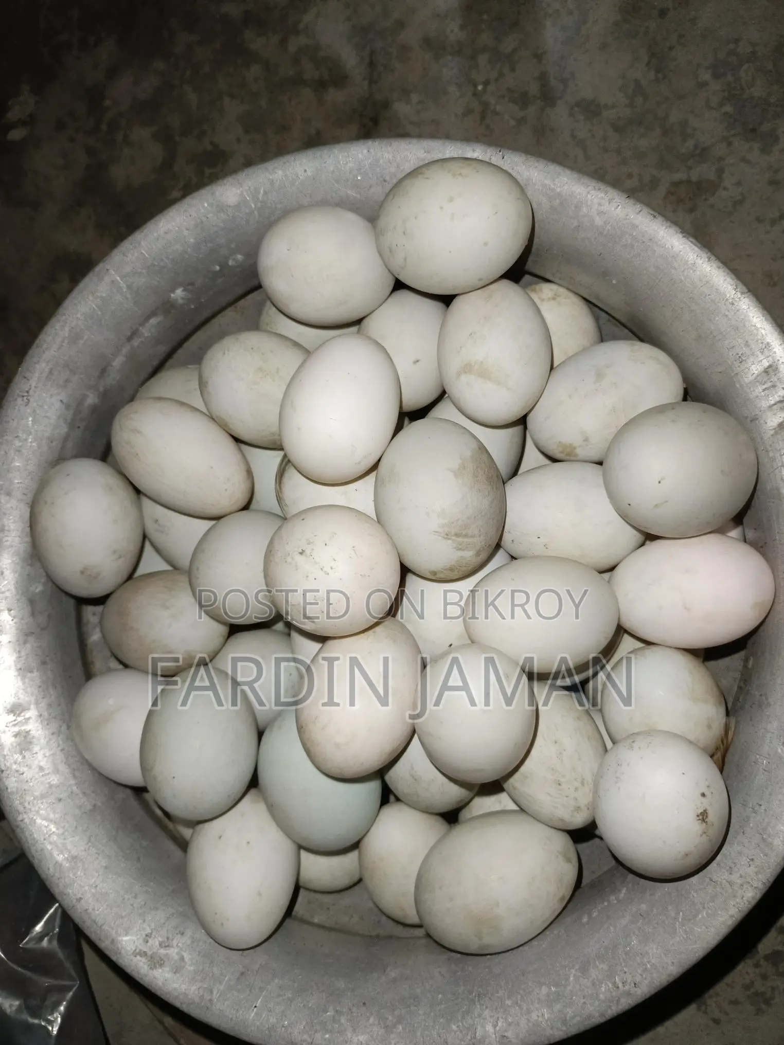 দেশি হাসের ডিম