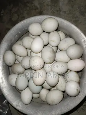 দেশি হাসের ডিম