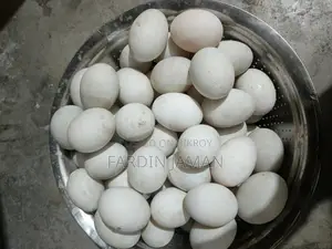 দেশি হাসের ডিম