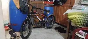 Bicycle for Sale