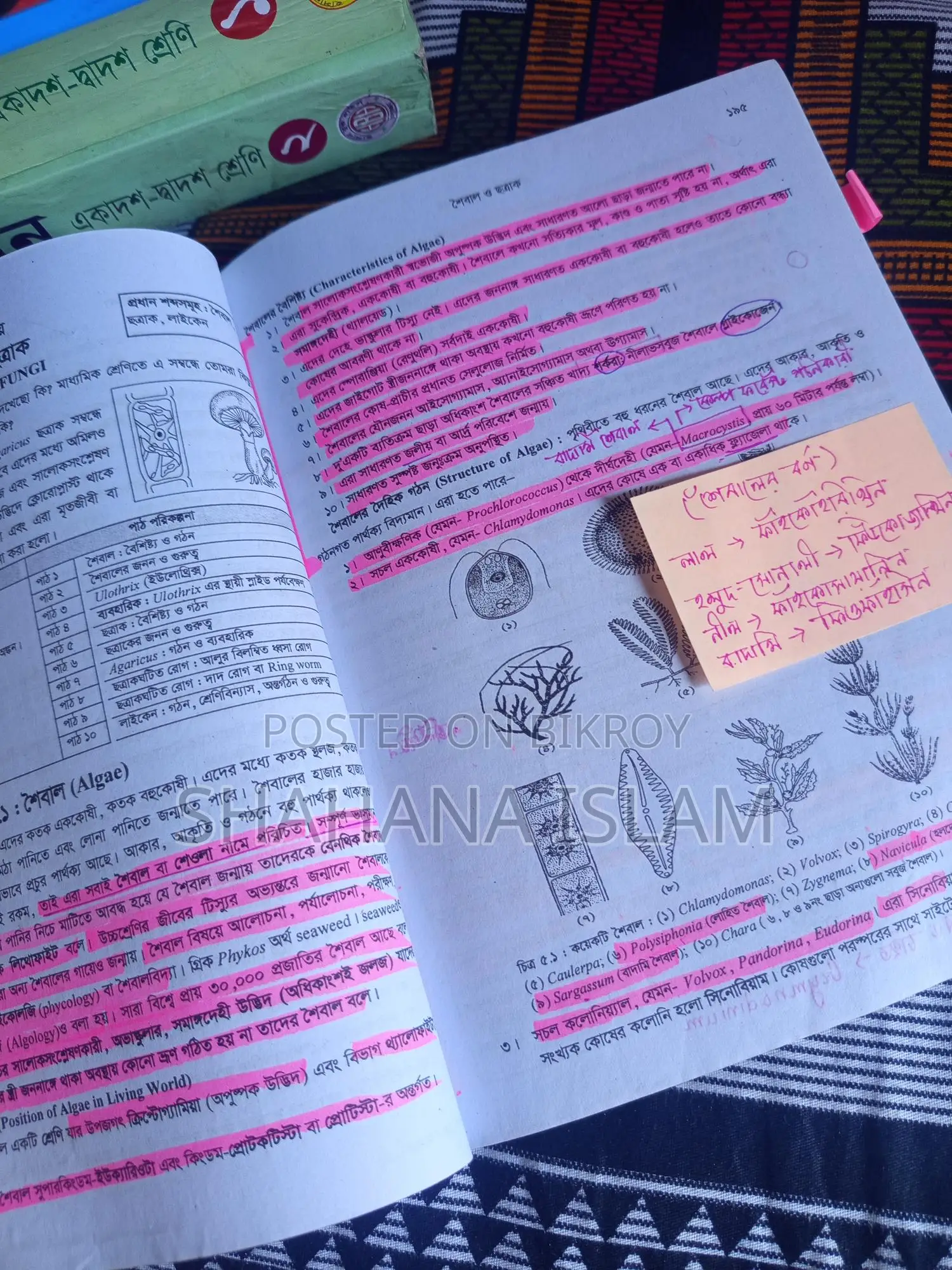 Medical Highlighted Book