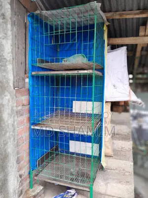 কবুতরের Cage