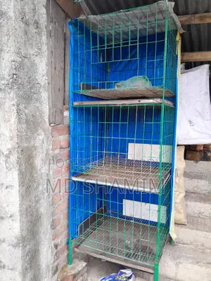 কবুতরের Cage