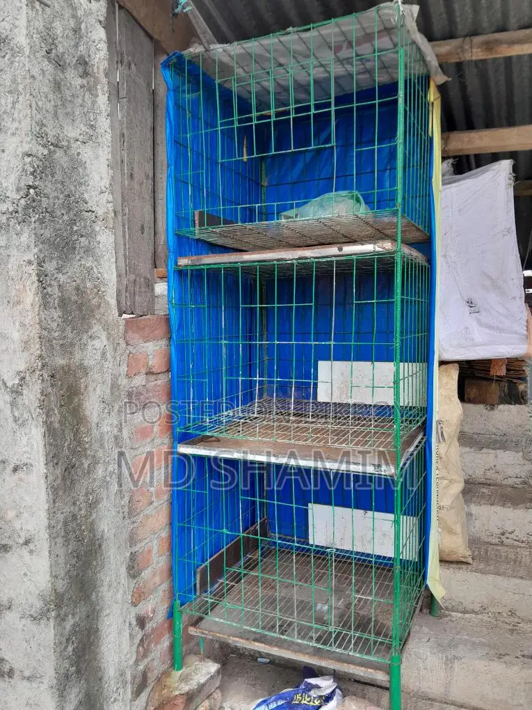 কবুতরের Cage