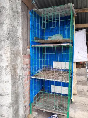 কবুতরের Cage