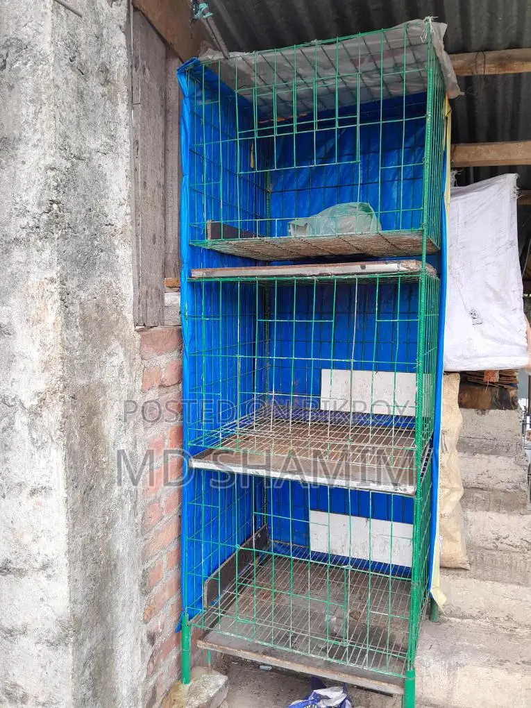 কবুতরের Cage