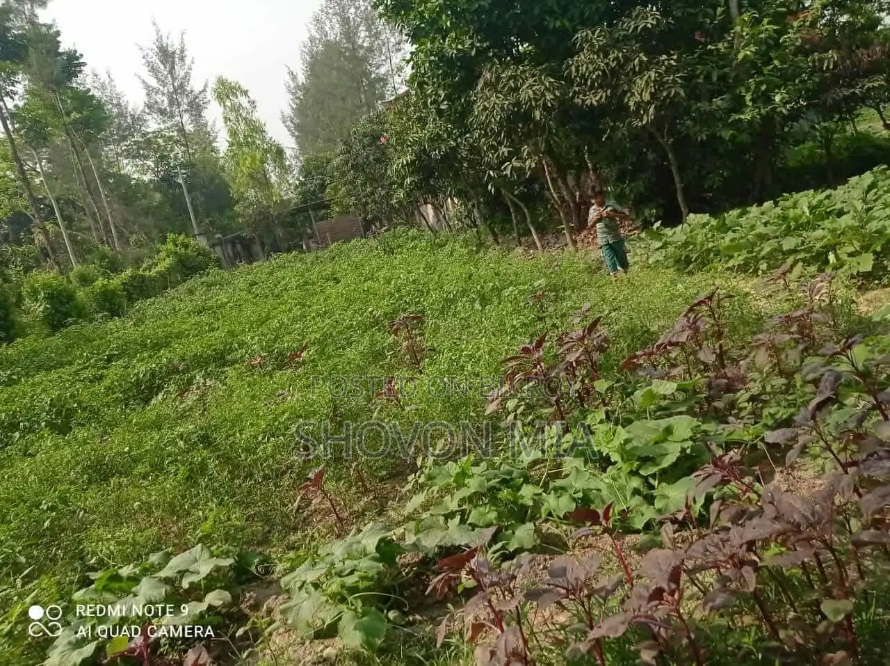 Farm for Sale