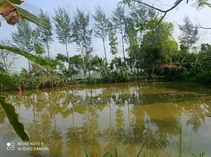 Farm for Sale
