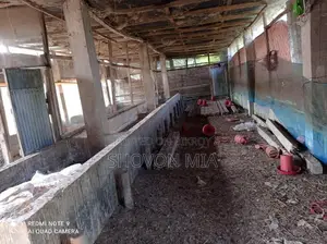 Farm for Sale