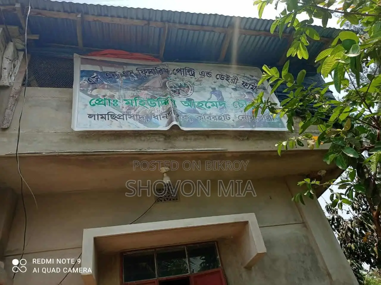 Farm for Sale