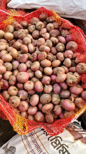 High-Quality Local Onions