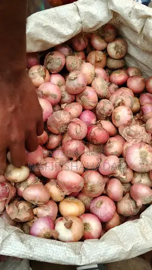 ভালো মানের দেশি পেয়াজ