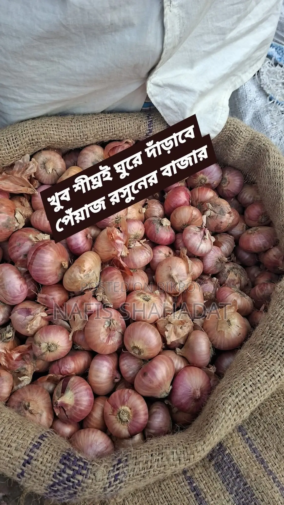 ভালো মানের দেশি পেয়াজ