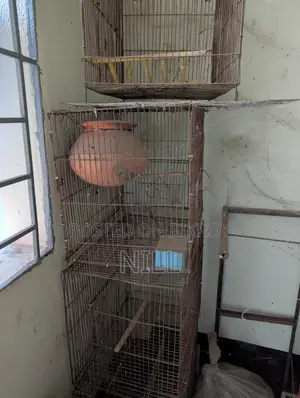 পাখির খাঁচা