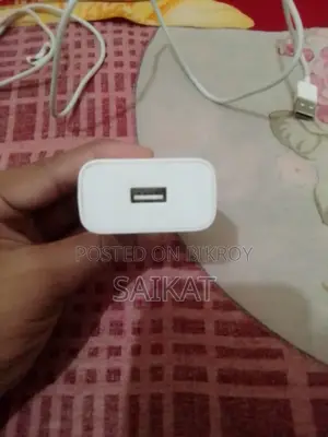 Vivo Fast Charger