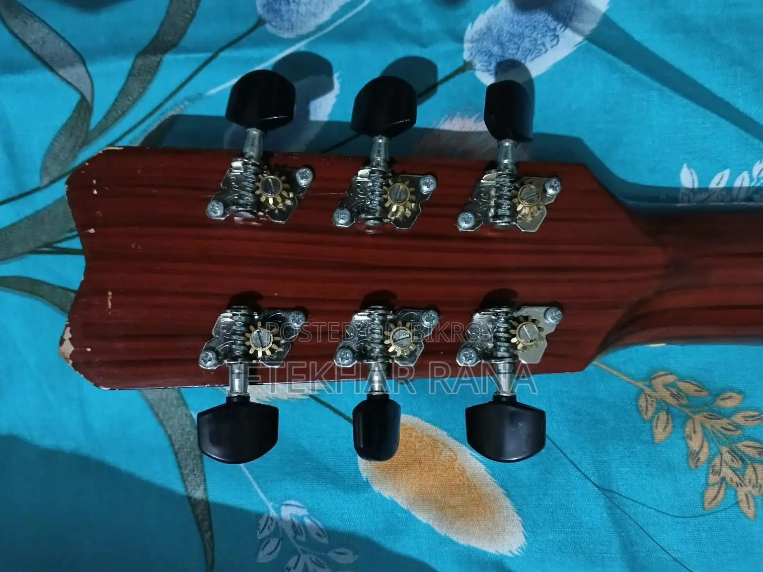 Guitar