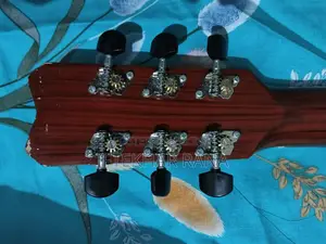Guitar