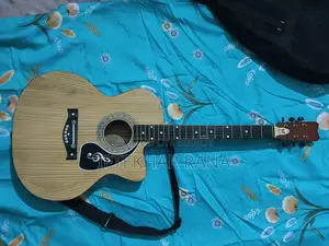 Guitar