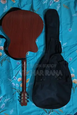 Guitar