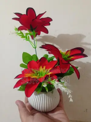 Home Decoration Items