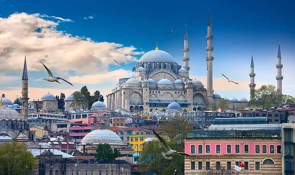 Turkey Tourist & Business Visa