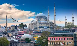Turkey Tourist & Business Visa